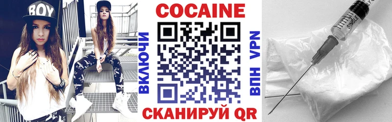 Cocaine FishScale  закладки  Эртиль 