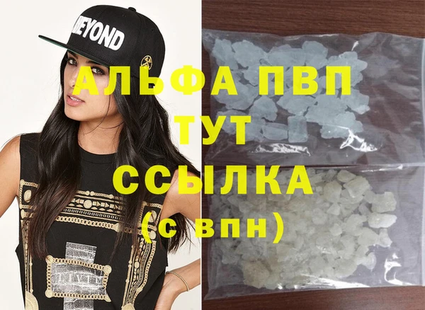 стафф Ельня