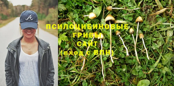 стафф Ельня