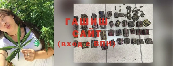 стафф Ельня