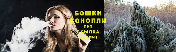сатива Заволжье